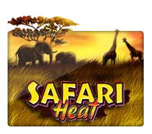 Joker123 : Safari Heat - AZGAMING388
