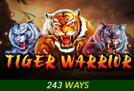 Spadegaming : Tiger Warrior - AZGAMING388