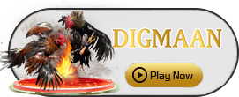 Digman - AZGAMING388